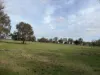 6230 Wakool Road, Wakool, NSW 2710-Image