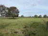 6230 Wakool Road, Wakool, NSW 2710-Image