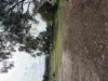 6230 Wakool Road, Wakool, NSW 2710-Image