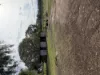 6230 Wakool Road, Wakool, NSW 2710-Image