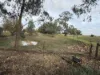 6230 Wakool Road, Wakool, NSW 2710-Image