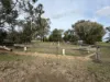 6230 Wakool Road, Wakool, NSW 2710-Image