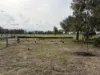 6230 Wakool Road, Wakool, NSW 2710-Image