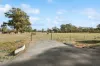 63 Williams Road, Myers Flat, Vic 3556-Image