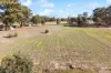 63 Williams Road, Myers Flat, Vic 3556-Image