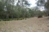635 Charleys Gully Road, Freestone, Qld 4370-Image