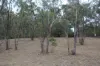 635 Charleys Gully Road, Freestone, Qld 4370-Image