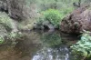 635 Charleys Gully Road, Freestone, Qld 4370-Image