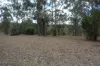 635 Charleys Gully Road, Freestone, Qld 4370-Image