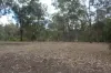 635 Charleys Gully Road, Freestone, Qld 4370-Image