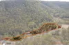 635 Charleys Gully Road, Freestone, Qld 4370-Image
