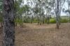 635 Charleys Gully Road, Freestone, Qld 4370-Image