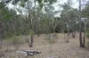 635 Charleys Gully Road, Freestone, Qld 4370-Image