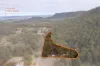 635 Charleys Gully Road, Freestone, Qld 4370-Image