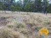 64-66 BURROWS STREET, Wondai, Qld 4606-Image