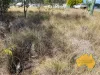 64-66 BURROWS STREET, Wondai, Qld 4606-Image