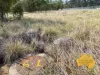 64-66 BURROWS STREET, Wondai, Qld 4606-Image