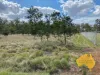 64-66 BURROWS STREET, Wondai, Qld 4606-Image
