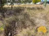 64-66 BURROWS STREET, Wondai, Qld 4606-Image