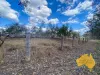 64-66 BURROWS STREET, Wondai, Qld 4606-Image