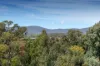64 Clarendon Avenue, Wodonga, Vic 3690-Image