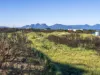 648 Dolphin Sands Road, Dolphin Sands, Tas 7190-Image