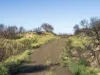 648 Dolphin Sands Road, Dolphin Sands, Tas 7190-Image