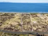 648 Dolphin Sands Road, Dolphin Sands, Tas 7190-Image