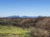 648 Dolphin Sands Road, Dolphin Sands, Tas 7190-Image