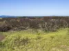 648 Dolphin Sands Road, Dolphin Sands, Tas 7190-Image