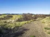 648 Dolphin Sands Road, Dolphin Sands, Tas 7190-Image