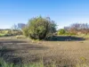 648 Dolphin Sands Road, Dolphin Sands, Tas 7190-Image