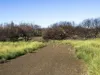 648 Dolphin Sands Road, Dolphin Sands, Tas 7190-Image