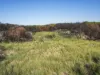 648 Dolphin Sands Road, Dolphin Sands, Tas 7190-Image
