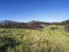 648 Dolphin Sands Road, Dolphin Sands, Tas 7190-Image