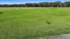 65 Brodribb Drive, Marlo, Vic 3888-Image