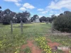 65 King Street, Brookton, WA 6306-Image