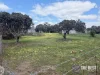 65 King Street, Brookton, WA 6306-Image
