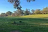 65 Rose Hill Road, Metcalfe, Vic 3448-Image