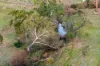 65 Rose Hill Road, Metcalfe, Vic 3448-Image