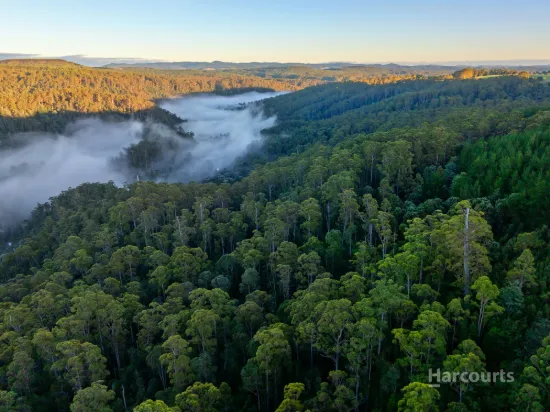 654 West Calder Road, Calder, Tas 7325