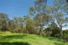 656 Upper Brookfield Road, Upper Brookfield, Qld 4069-Image