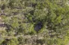 66 Billabong Way, Bucca, Qld 4670-Image