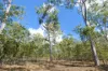 66 Billabong Way, Bucca, Qld 4670-Image
