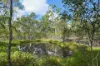 66 Billabong Way, Bucca, Qld 4670-Image