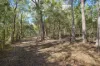 66 Billabong Way, Bucca, Qld 4670-Image