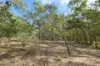 66 Billabong Way, Bucca, Qld 4670-Image