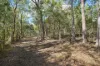 66 Billabong Way, Bucca, Qld 4670-Image