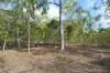 66 Billabong Way, Bucca, Qld 4670-Image