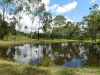 66 Embrey Road, Nanango, Qld 4615-Image